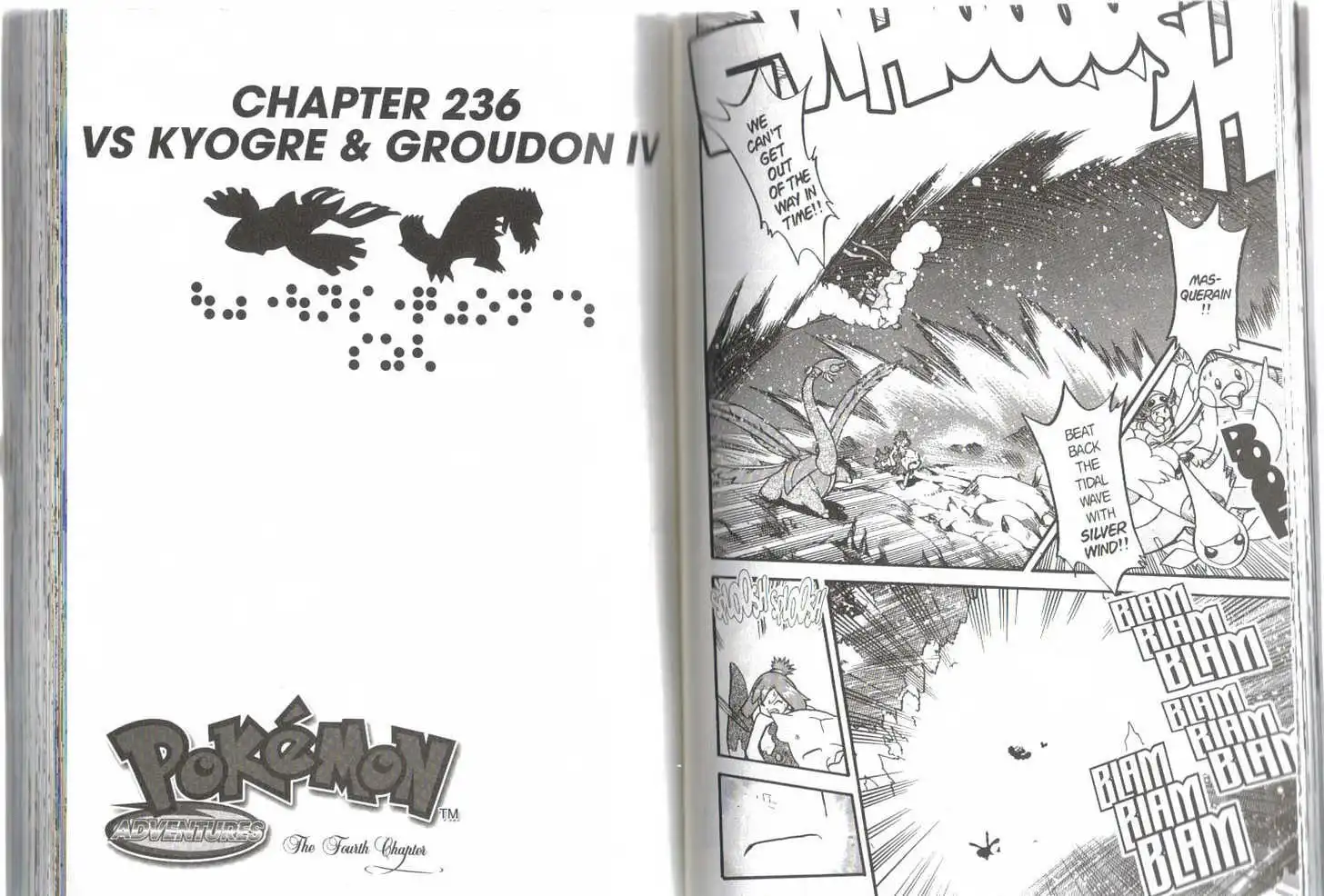 Pokemon Adventures Chapter 233.8 20